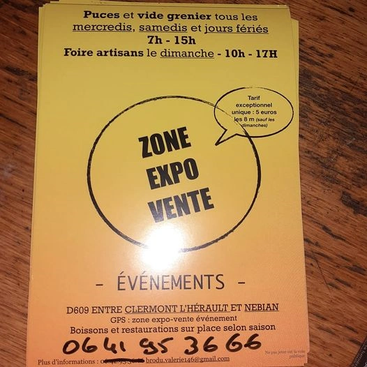 PUCES VIDE GRENIERS SAMEDI